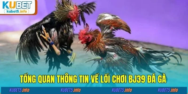 Tổng quan thông tin về lối chơi BJ39 đá gà